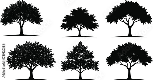 Tree silhouette collection, black deciduous trees, botanical shapes, nature illustration, forest elements, landscape design, graphic clipart, foliage icons, vector art