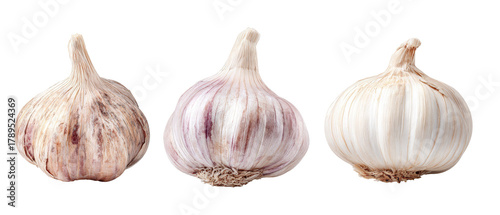 Three distinct varieties of garlic bulbs displayed side by side, showcasing their unique textures and colors against a clean background, ideal for culinary and health-related content