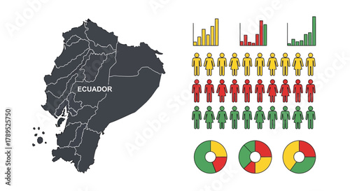 Ecuador population statistics demographic data analysis infographic vector