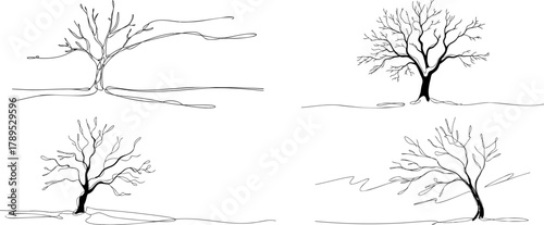 Four black and white line drawings illustrating bare winter trees with visible branches and trunks on a simple ground, showcasing different forms.