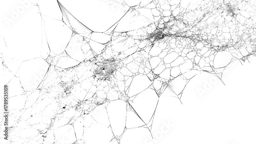 Foto Delicate spiderweb with intricate design and texture