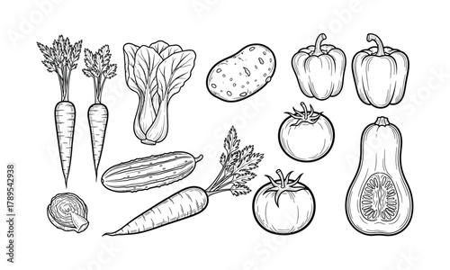Set of various vegetables outline illustration in black and white