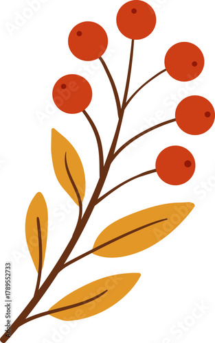 Berries and autumn leaves background