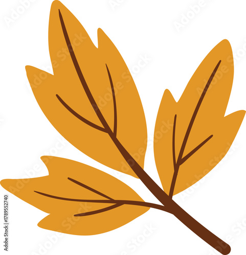  Yellow Autumn Maple Leaf