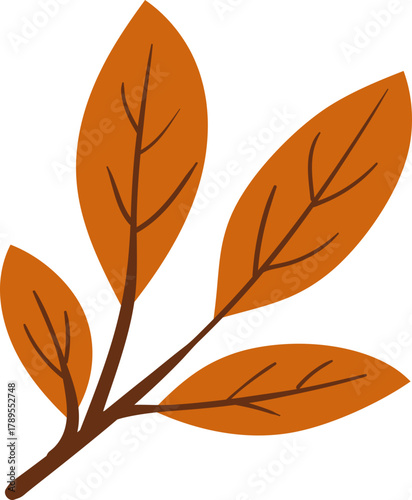 Orange Autumn Leaf illustration
