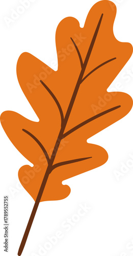 Illustration of an Oak Leaf in Autumn
