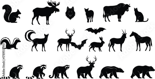 Wild animal silhouette set, woodland and forest creature vector illustration, wildlife collection with bear, deer, wolf, squirrel, raccoon, horse, and batWild 