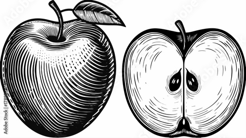 Engraved apple illustration whole and halved showing seeds, perfect for vintage food packaging designs