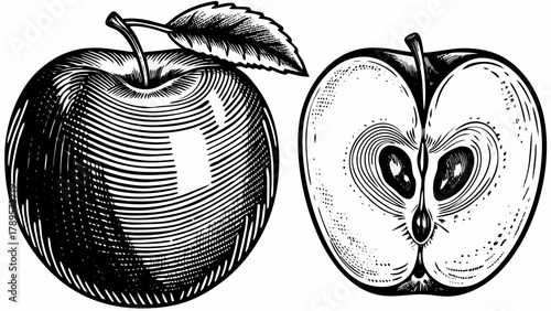 Crisp apple engraving, whole and halved, capturing the essence of healthy eating and natural sweetness