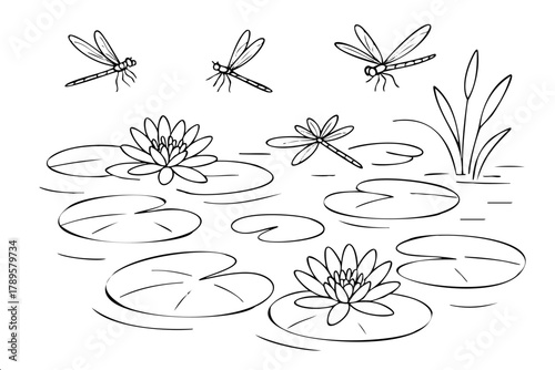 A drawing of a pond with a few dragonflies flying over it. The pond is surrounded by lily pads and has a calm, peaceful atmosphere
