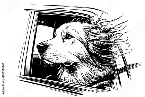 A dog with a very long mane is blowing its hair in the wind. The dog is looking out the window of a car