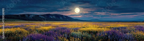 Full moon shining on wildflower field at night concept. Serene moonlit field with colorful flowers under a night sky.