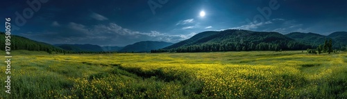 Full moon shining on wildflower field at night concept. A serene night landscape with a bright moon over a meadow.