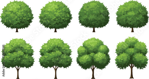 Set of eight realistic green trees illustration, natural forest foliage collection, eco friendly environment concept, botanical nature vector design