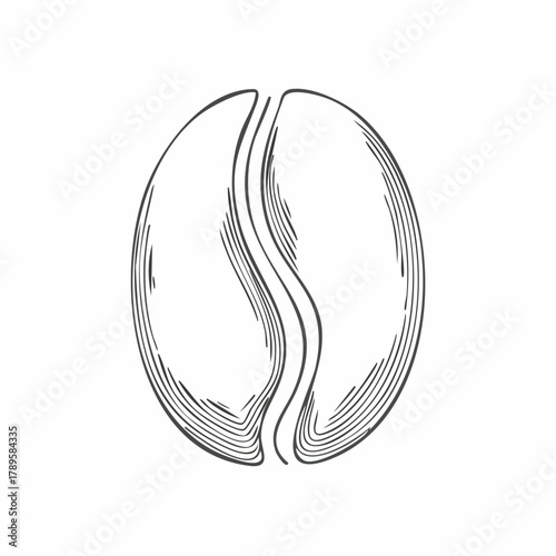 Modern Abstract Monoline Coffee Bean Logo – Black & White Isolated Vector