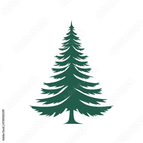 Stylized Evergreen Tree Silhouette with Dense Branches and Classic Conical Shape.