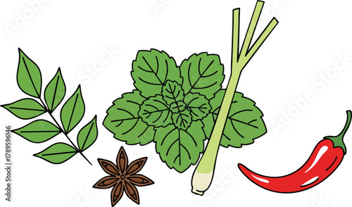 Assortment Of Fresh Culinary Herbs And Spices Including Mint Lemongrass Star Anise And Red Chili Pepper On White