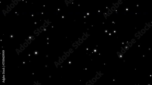 Loop White snow flake falling on black background