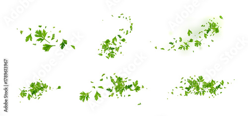 Chopped Parsley Leaves Isolated