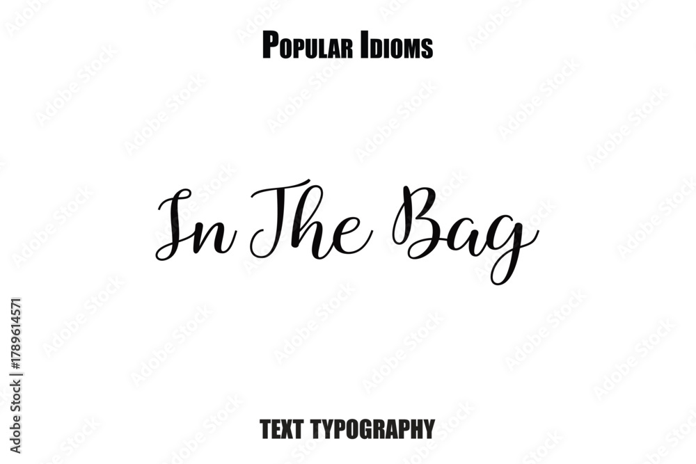 Fototapeta premium In The Bag vector illustration text saying