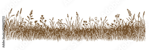 This is a hand-drawn vector art piece with a black outline. It showcases wild meadow grasses and wildflowers.

