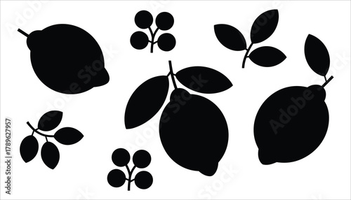 Black silhouette of lemons and berries on a white background citrus fruit
