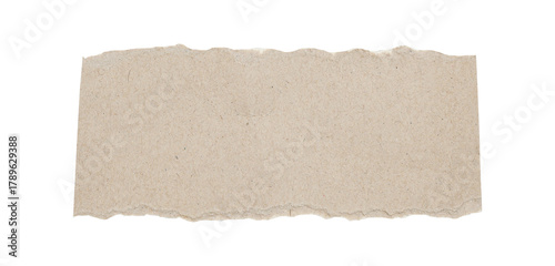 Torn Paper Edge Texture Isolated on White Background