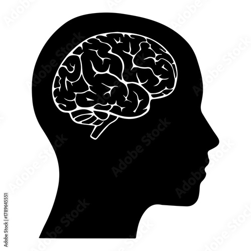 Silhouette of Human Head with Detailed Brain Outline for Psychology and Intelligence Concepts