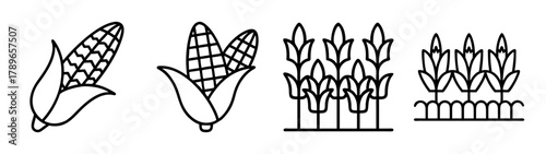 Farm crops line icon set: corn cob and wheat field illustration