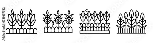 Agricultural plants line icon set depicting various cultivated crops.