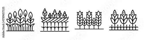 Outline icons of various agricultural crops and plant rows vector art.