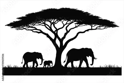 Fototapeta Elephant Family Safari Tree Silhouette