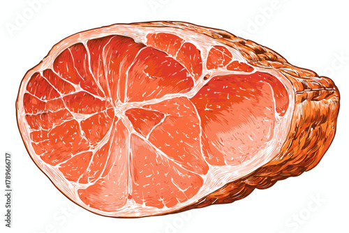 Detailed Hand-Drawn Engraving Style Illustration of a Large Section of Cured Cooked Ham Meat