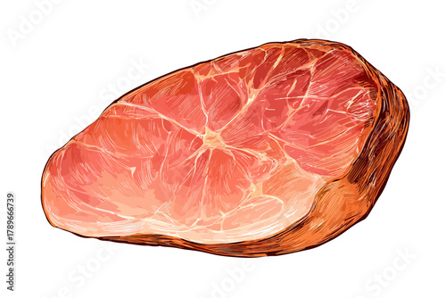 Hand-Drawn Illustration of a Large Piece of Smoked Cooked Ham Cured Meat Loin on White Background