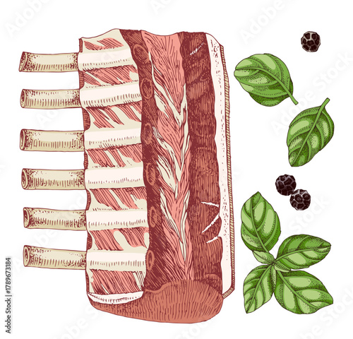 Rack of pork raw meat vector