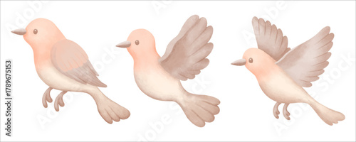 watercolor tropical bird illustration for ecology