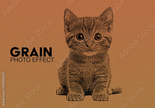 Grain Photo Effect
