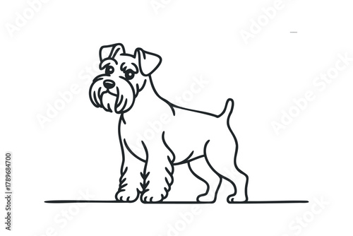 Line art of a schnauzer standing
