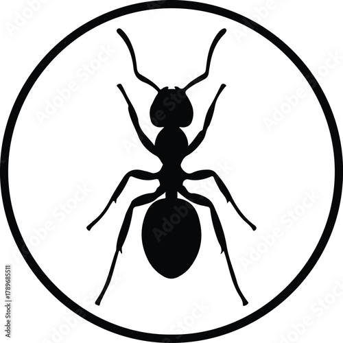 Illustration ant in black circle isolated artwork silhouette vector