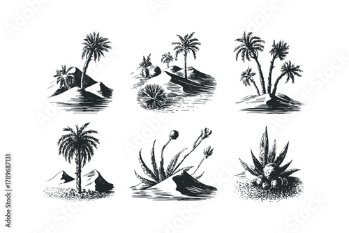 Six desert landscape scenes with palm trees and arid plants