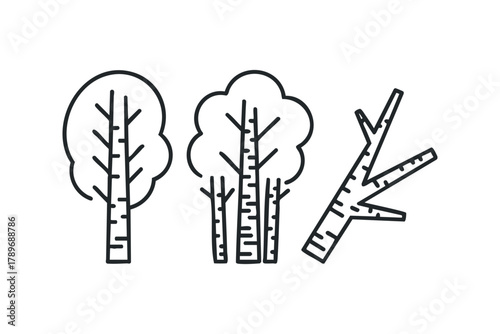 Simplified line art of birch trees and a branch