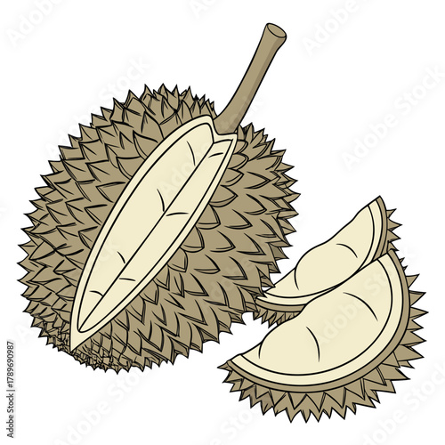 A whole durian fruit with a section cut out revealing the creamy flesh alongside two slices of durian fruit