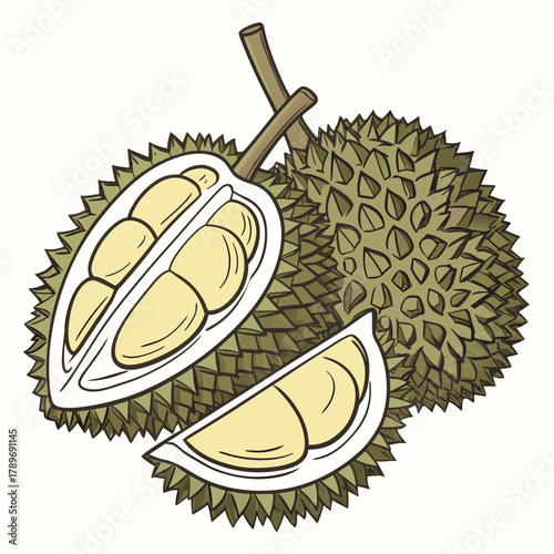 Illustration of a whole durian fruit with a cut half and a slice revealing creamy yellow flesh and seeds