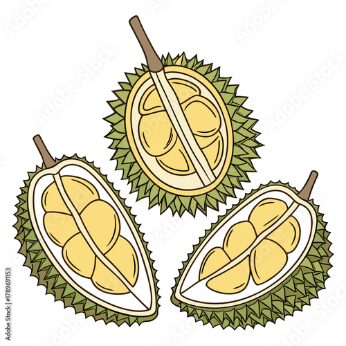 Three stylized illustrations of durian fruit cut in half revealing creamy yellow flesh and seeds on a white background