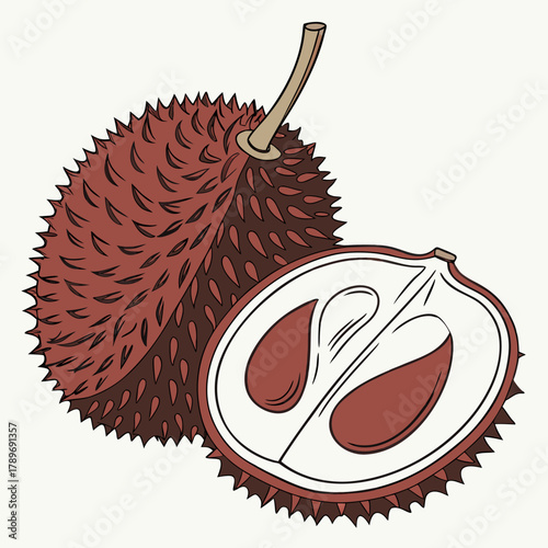 Illustration of a whole spiky red fruit and a halved fruit revealing its seeds and white flesh
