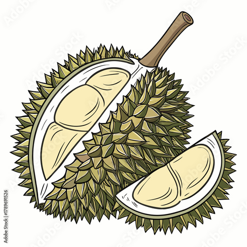 A whole durian fruit sliced open revealing creamy yellow flesh and a separate slice on a white background