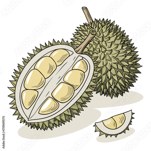 A whole durian fruit and a halved durian revealing its creamy yellow flesh and seeds with a slice