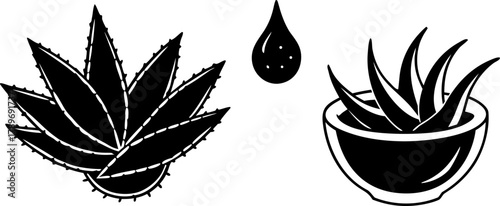 A black and white illustration depicting several elements related to aloe vera. On the left, an aloe vera plant with long, pointed leaves, characterized by spiky edges, is positioned in a round bowl. 