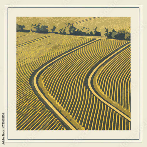 Stylized aerial view of curved agricultural fields with golden yellow crops and dark shadows creating a graphic pattern