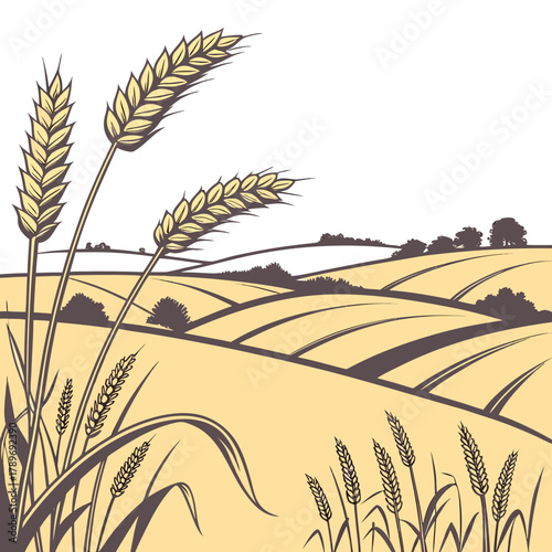 Golden wheat fields under a clear sky with rolling hills and trees in the distance